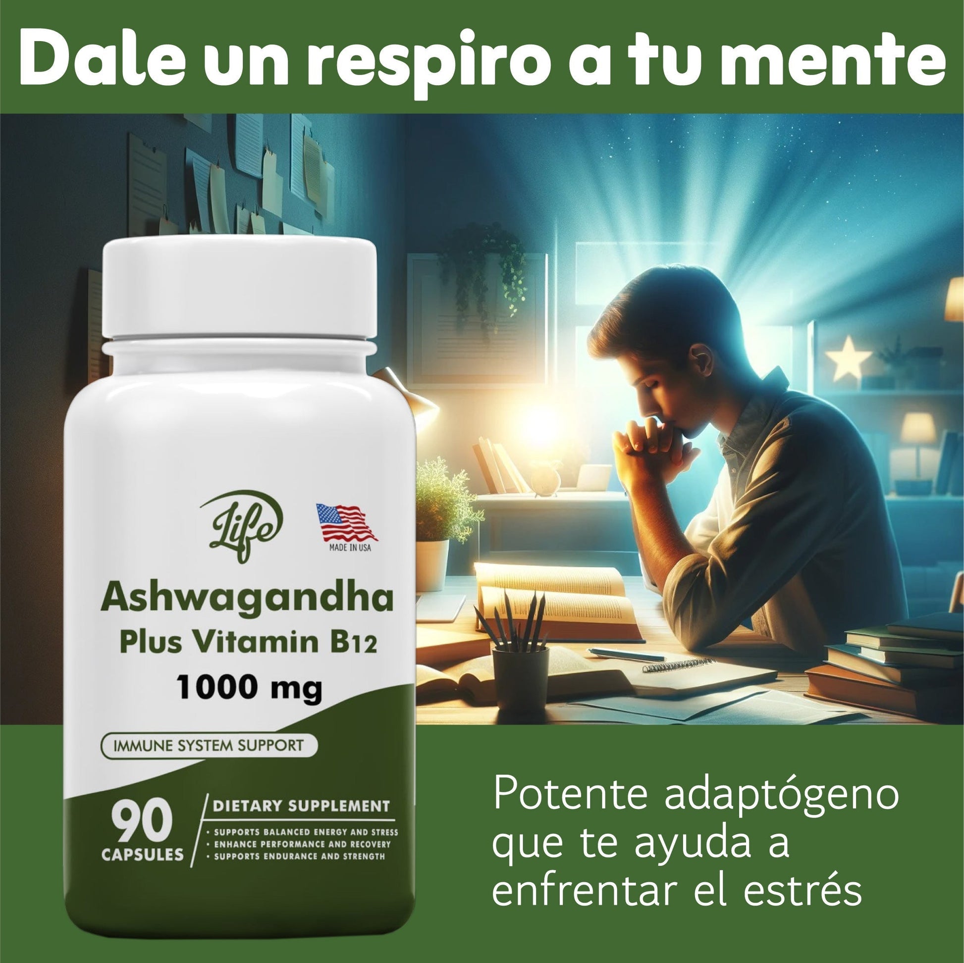 gid://shopify/MediaImage/24566344417374