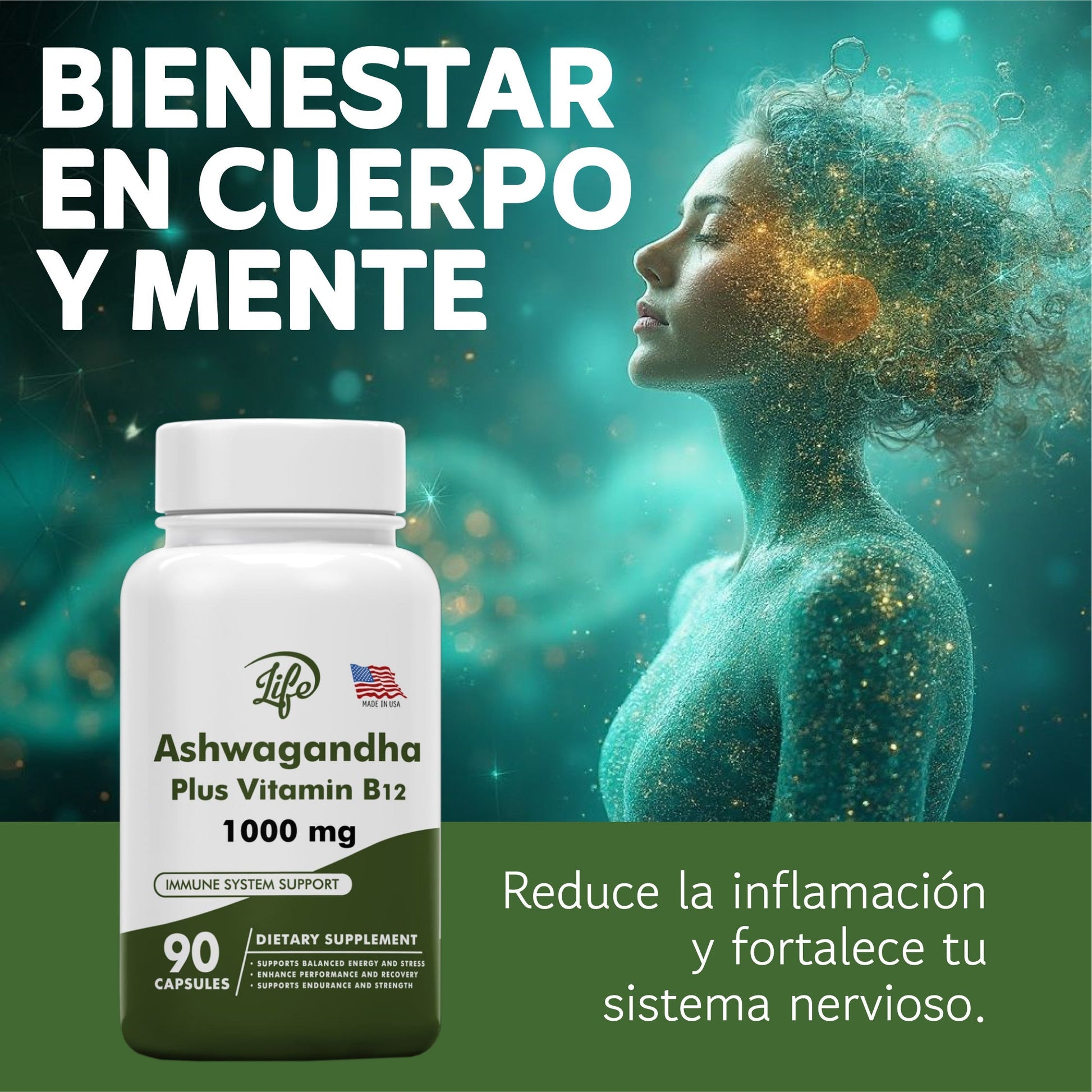 gid://shopify/MediaImage/24566344482910