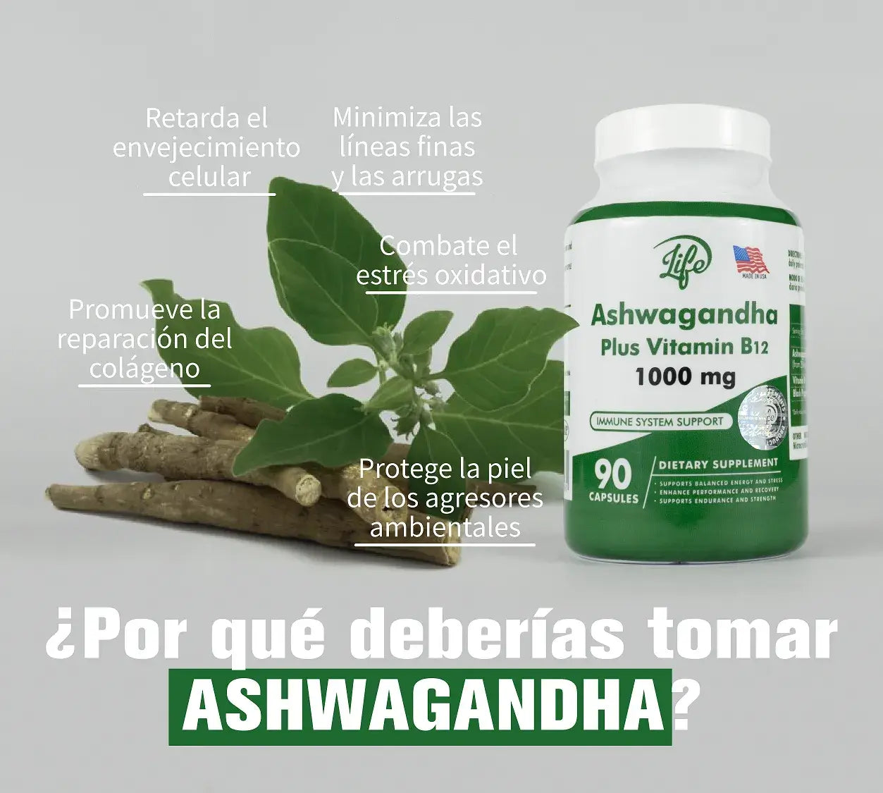 gid://shopify/MediaImage/24566344319070
